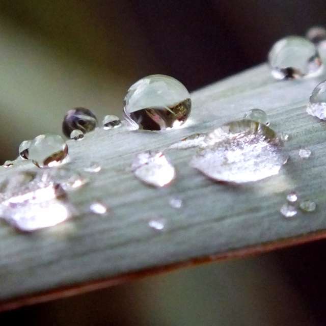 Glass. Weather forecasts with beautiful photos by Miloš_SK Photos in Sereď