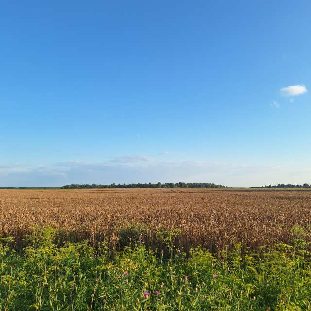 Summer. Weather forecasts with beautiful photos by NaturePhotographer2 Photos in Lithuania