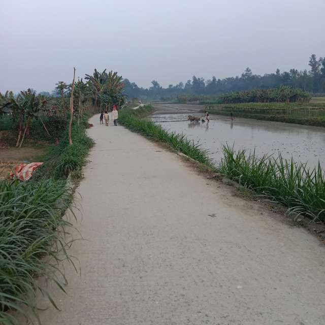 天气预报，带MD Shawkat Ali Khan精美的照片