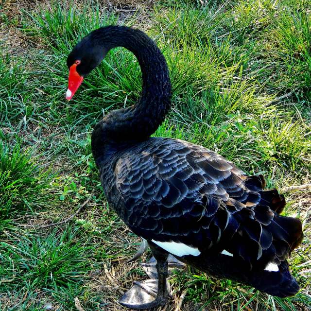 Прогнозы погоды с чудесными фотографиями, сделанными ConstantinR