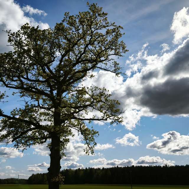 Фотографии Погоды в Мир. Прогнозы погоды с чудесными фотографиями, сделанными Valiukas