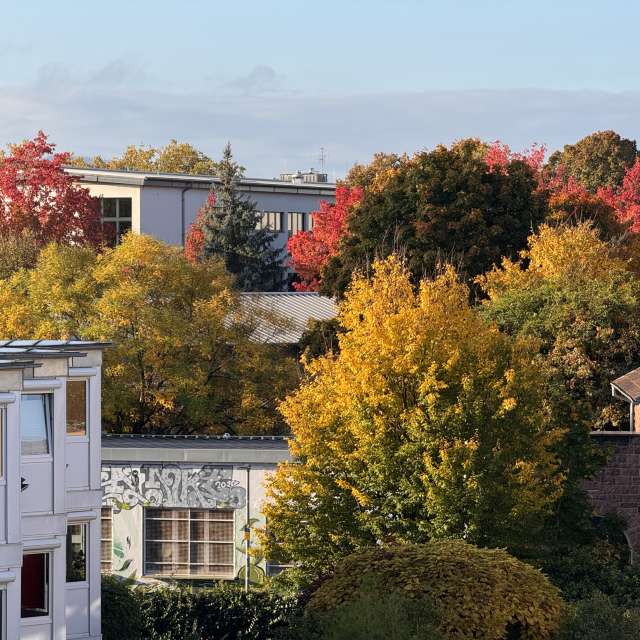 Weather forecasts with beautiful photos by DocHolliday987