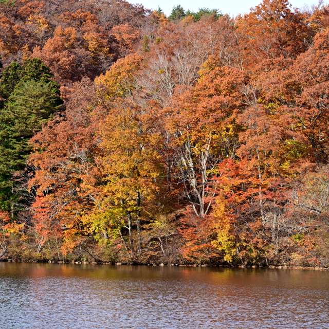 秋. Weather forecasts with beautiful photos by yoshy Photos in World