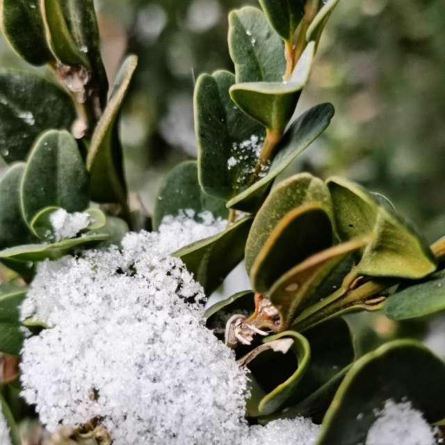 Previsões do tempo com lindas fotos de Madlen