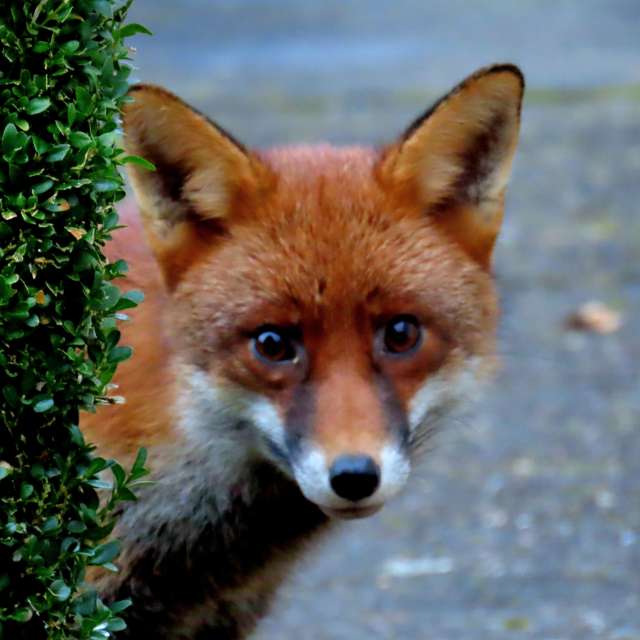 世界の天気写真. Lolliの美しい写真による天気予報