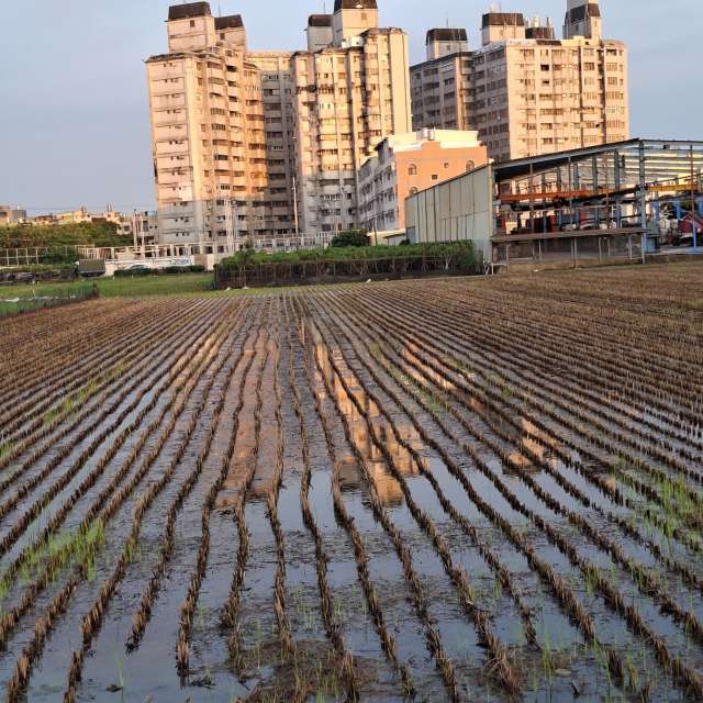 Road. Weather forecasts with beautiful photos by Wen-ya Huang Photos in Kaohsiung City