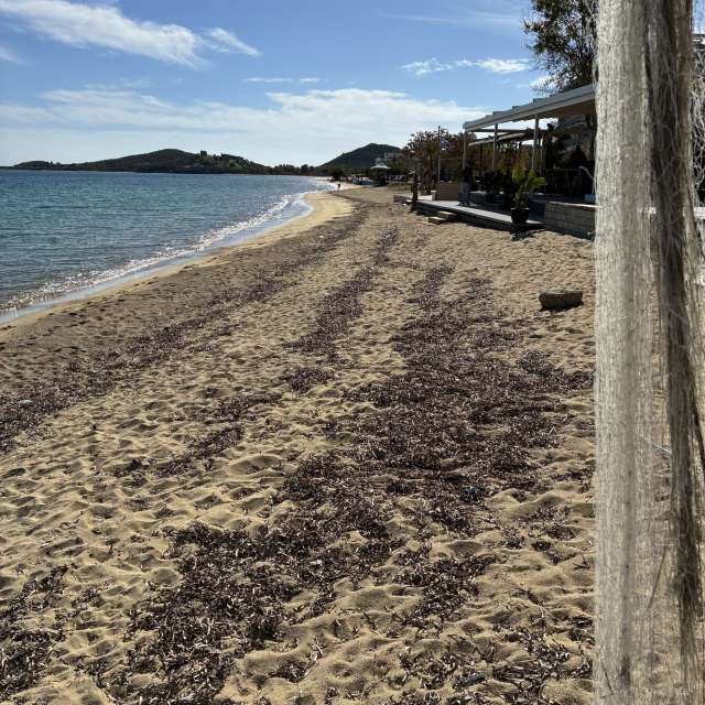 Прогнозы погоды с чудесными фотографиями, сделанными cigov