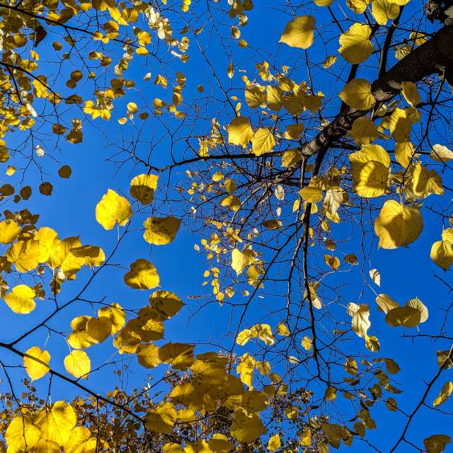 世界的天气照片. 天气预报，带aastrelkova精美的照片