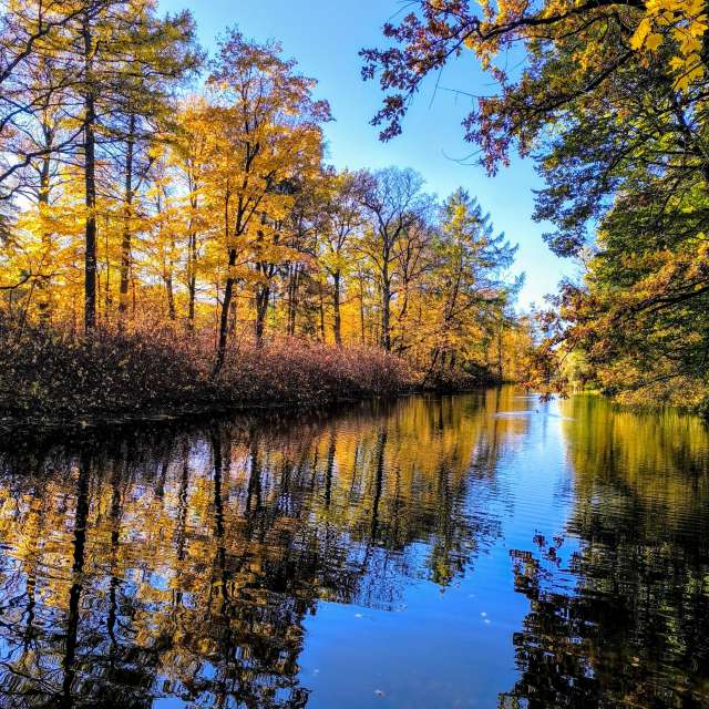 Jeaの美しい写真による天気予報