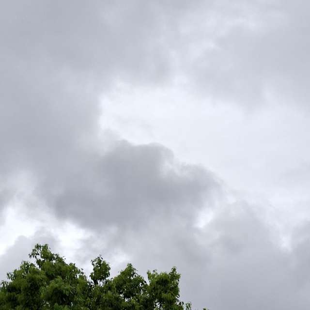 Track. Weather forecasts with beautiful photos by Wen-ya Huang Photos in Kaohsiung City