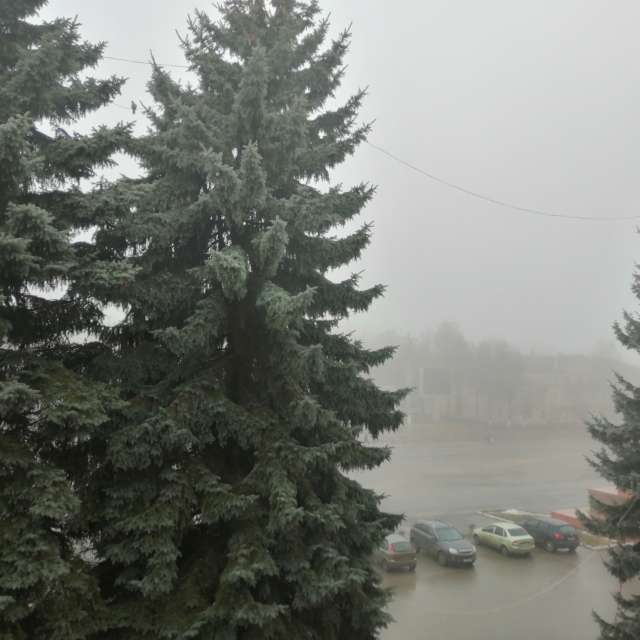 天气预报，带vilinsckayaolga精美的照片