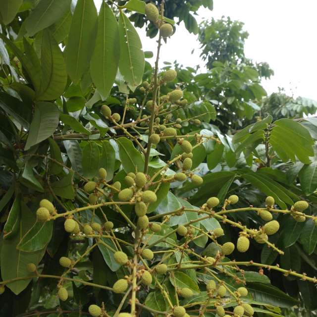 Photos Champ. Prévisions météo avec de superbes photos de Wen-ya Huang de Kaohsiung