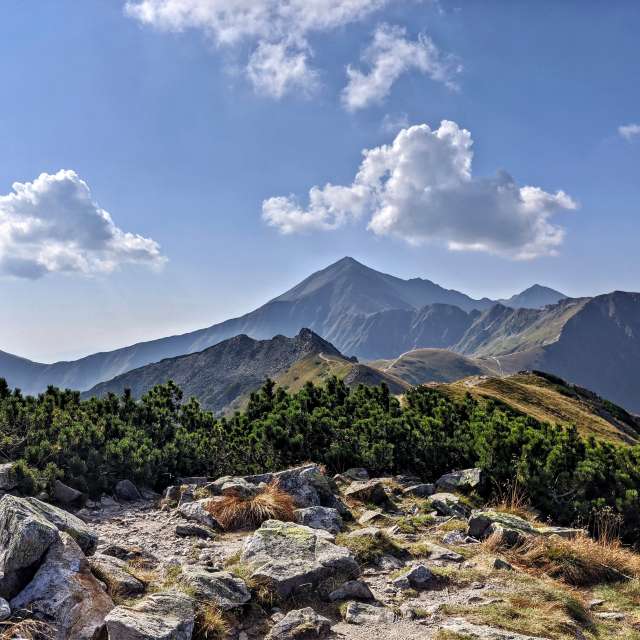 天气预报，带crisboon精美的照片