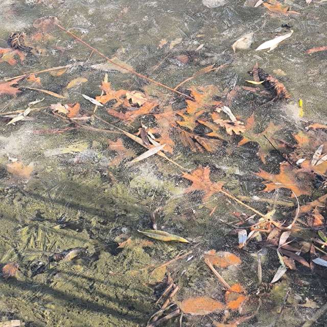 Dự báo thời tiết với những bức ảnh đẹp của Claudsch