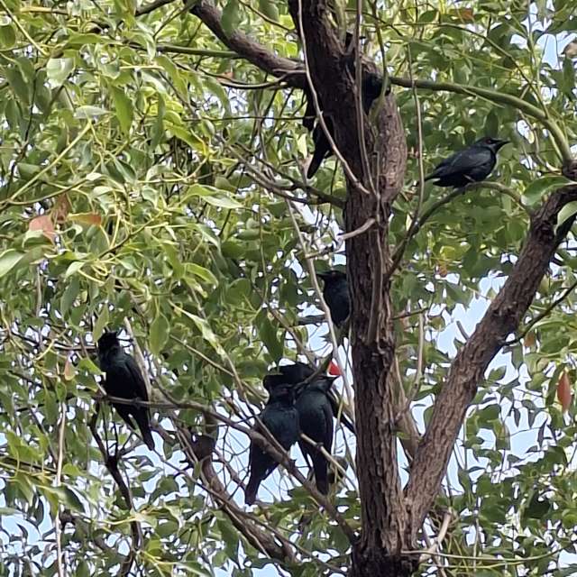 Prévisions météo avec de superbes photos de Wen-ya Huang