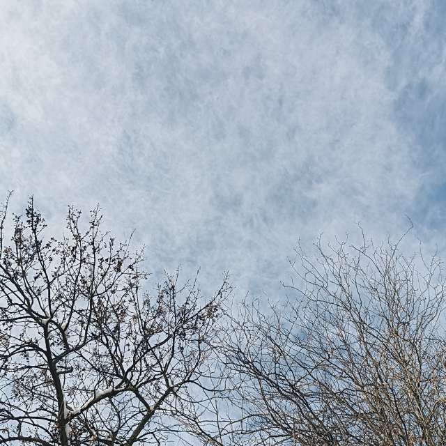 Fotos del Pasto. Pronósticos del tiempo con hermosas fotos de YanBog en București