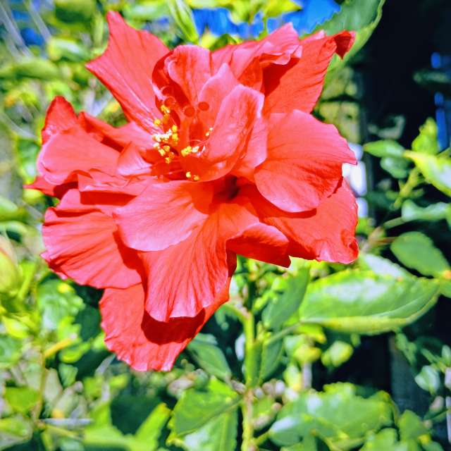 Weather forecasts with beautiful photos by Christinam01