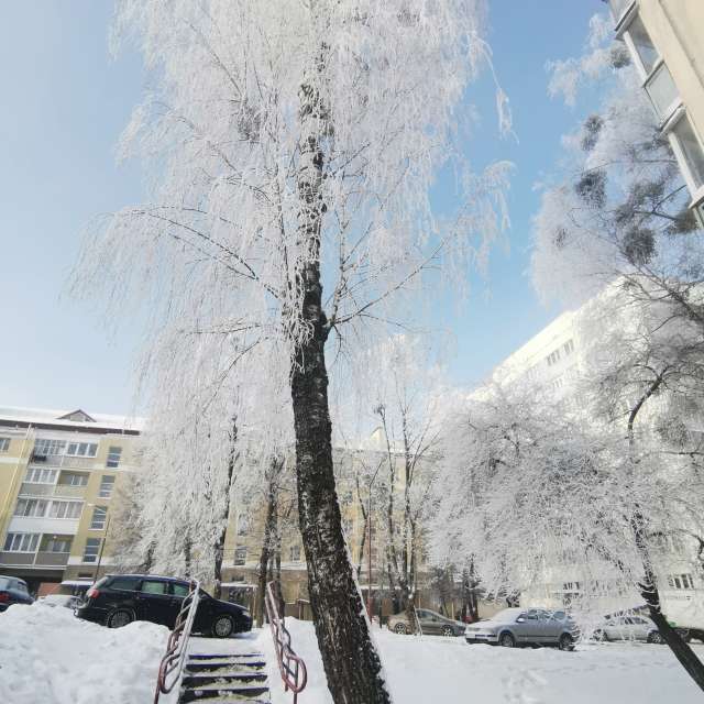 Winter. Weather forecasts with beautiful photos by Irishka Photos in World