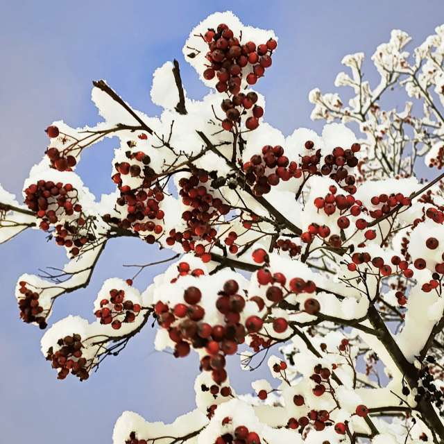 Прогнозы погоды с чудесными фотографиями, сделанными Lena_Glukhova