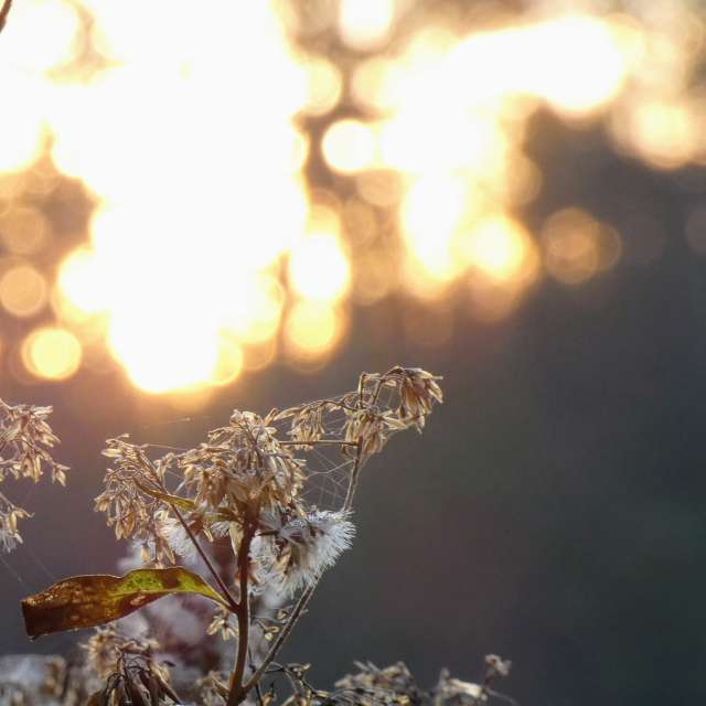 Прогнозы погоды с чудесными фотографиями, сделанными fwerner