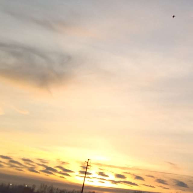 Prévisions météo avec de superbes photos de Am-b