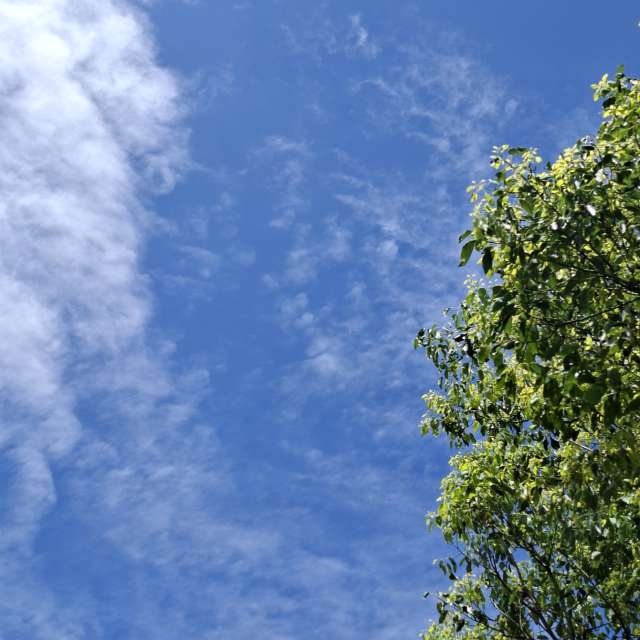 Skiing. Weather forecasts with beautiful photos by Wen-ya Huang Photos in Kaohsiung City