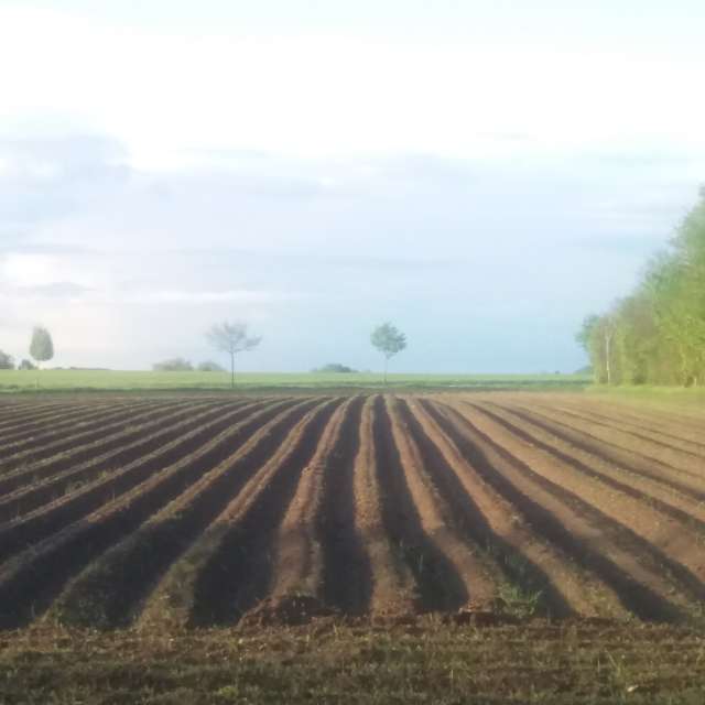 Weather forecasts with beautiful photos by Ute-Eleonore