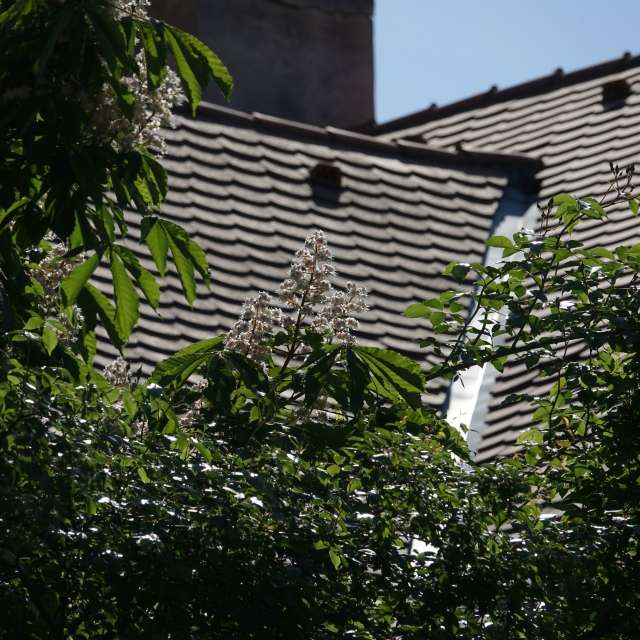 Fotos Cobertura. Previsões do tempo com lindas fotos de Vasek325 em Praha 4