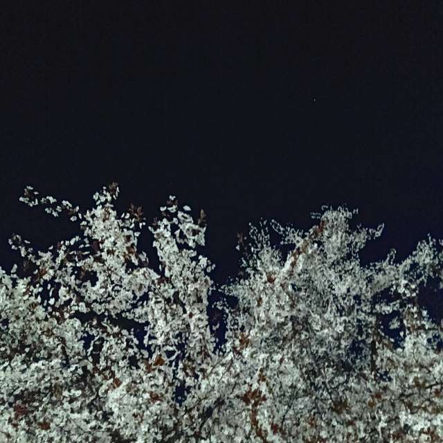 Fotos del Gente. Pronósticos del tiempo con hermosas fotos de YanBog en București