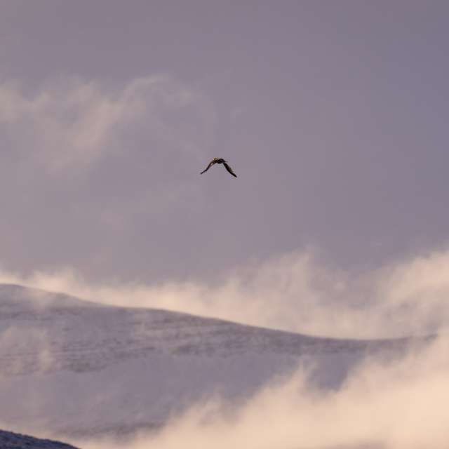 Group. Weather forecasts with beautiful photos by VH-Photos Photos in World