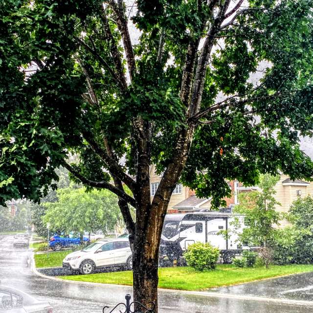 Feu. Wettervorhersagen mit schönen Fotos von Lulu5523 Fotos le Plateau