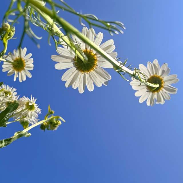 世界の天気写真. Seniの美しい写真による天気予報