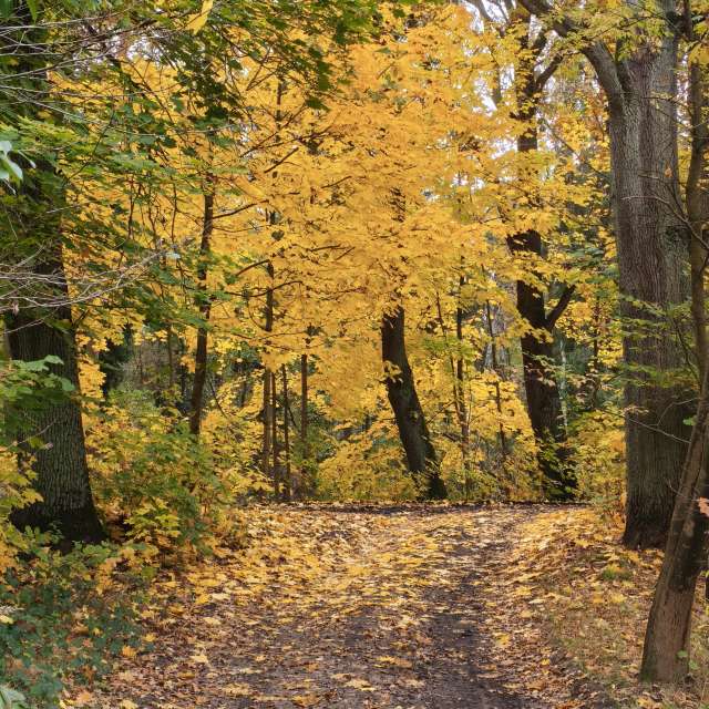 duck102の美しい写真による天気予報