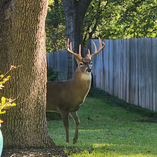 Previsões do tempo com lindas fotos de Mklady75