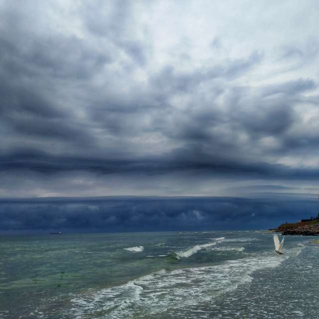 Weather forecasts with beautiful photos by Olexandr Bondarenko