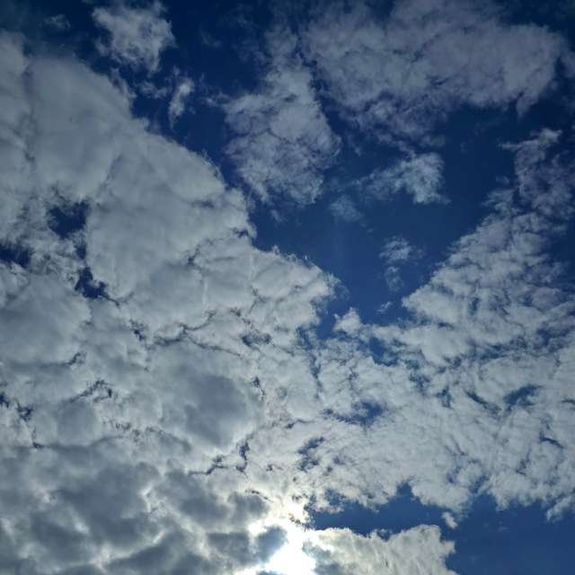 Prévisions météo avec de superbes photos de Traveling-Puma