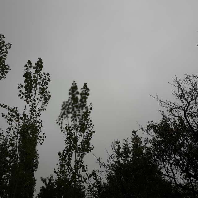 Pronósticos del tiempo con hermosas fotos de miladzee