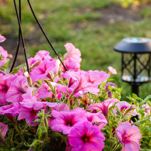 Weather forecasts with beautiful photos by 1stEyeFocused