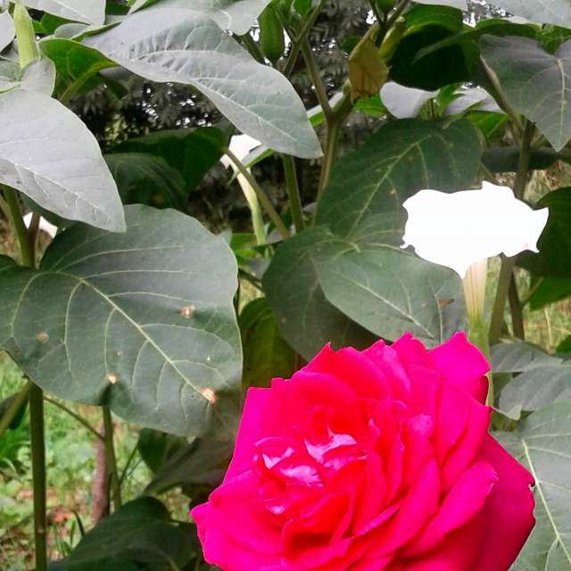 Large. Weather forecasts with beautiful photos by urashm Photos in Khmelnytskyi