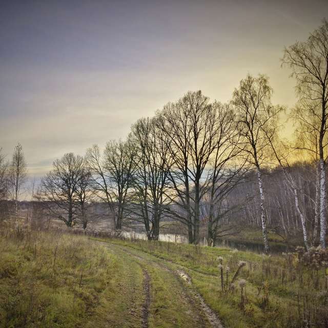Pasture. Weather forecasts with beautiful photos by Aleksei Photos in World