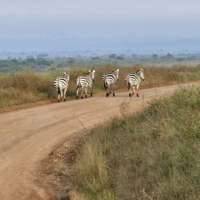 Pronósticos del tiempo con hermosas fotos de Birdy25