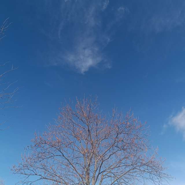 Fotos del Pasto. Pronósticos del tiempo con hermosas fotos de YanBog en București