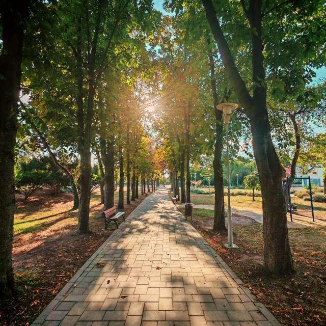 市场的天气照片. 天气预报，带Laurentiu精美的照片