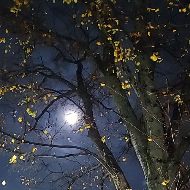 Previsões do tempo com lindas fotos de tipgol