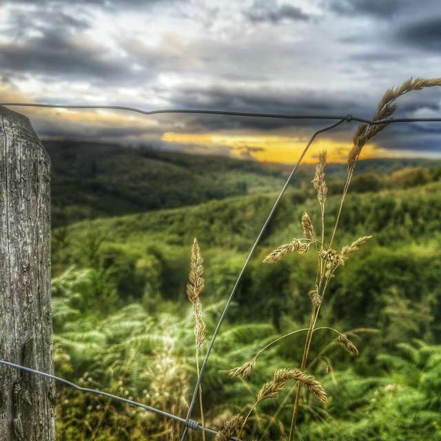 Prévisions météo avec de superbes photos de Gweiland