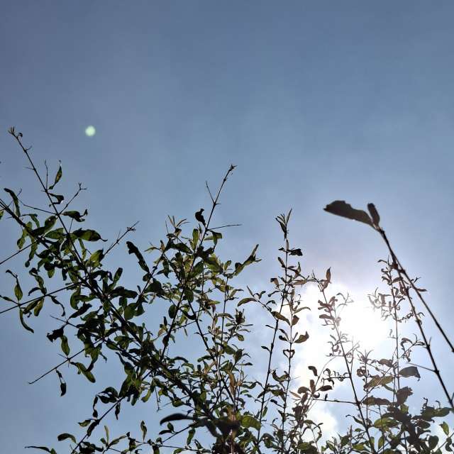 Flock. Weather forecasts with beautiful photos by Wen-ya Huang Photos in Kaohsiung City