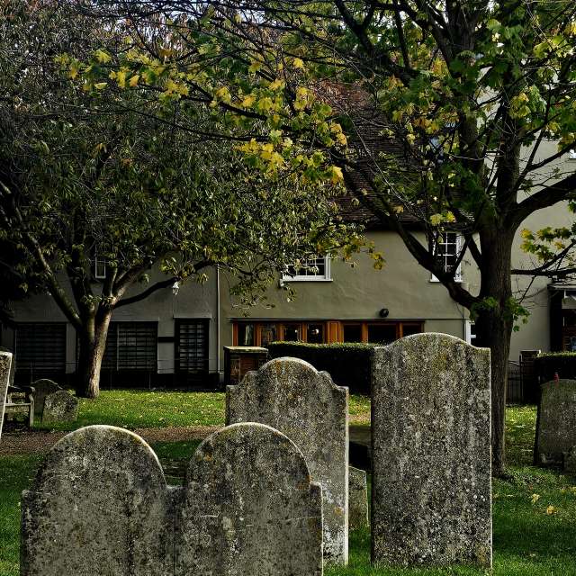 Wettervorhersagen mit schönen Fotos von Greenbroker