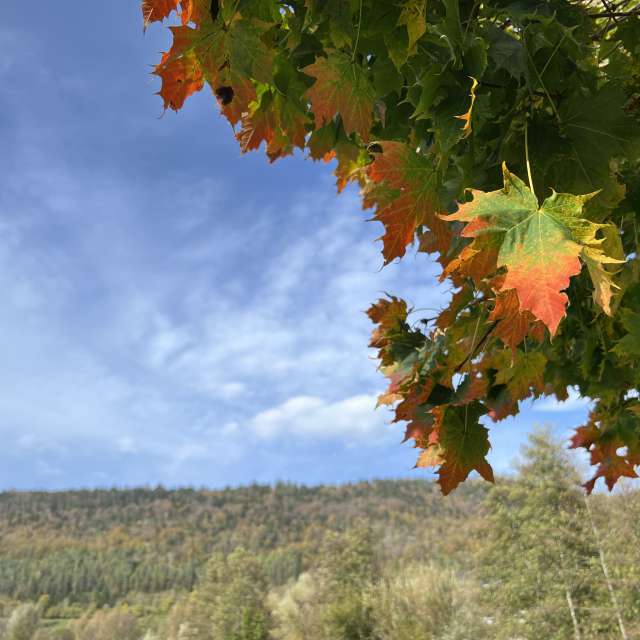 Photos Marche. Prévisions météo avec de superbes photos de SwissEloi de Sonceboz