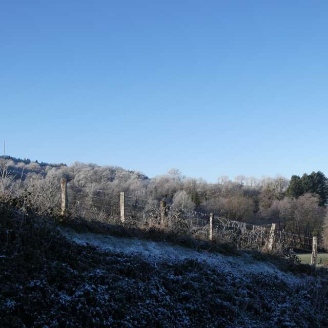 Прогнозы погоды с чудесными фотографиями, сделанными Fredy_Hiker