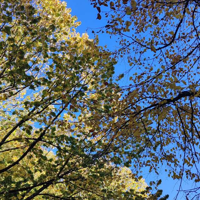 Jezero. Weather forecasts with beautiful photos by Tercis Photos in Ettlingen